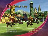 Harry Potter Quidditch World Cup